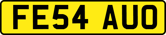 FE54AUO