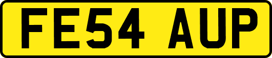 FE54AUP