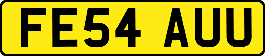 FE54AUU