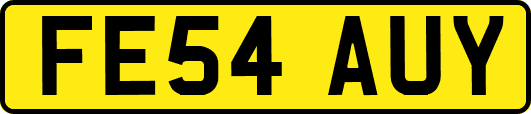 FE54AUY
