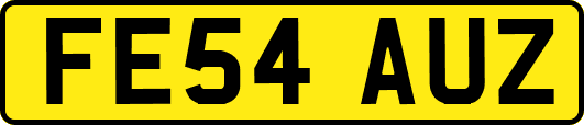 FE54AUZ