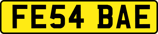 FE54BAE