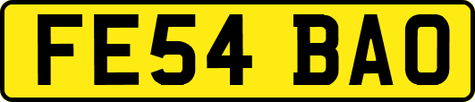 FE54BAO