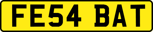 FE54BAT
