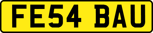 FE54BAU