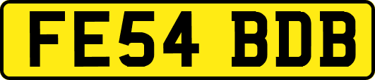 FE54BDB