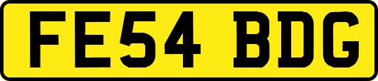 FE54BDG