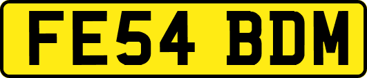 FE54BDM