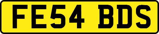 FE54BDS