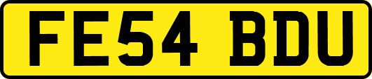 FE54BDU