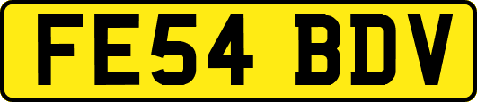 FE54BDV