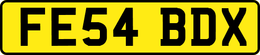 FE54BDX