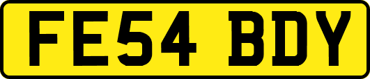 FE54BDY