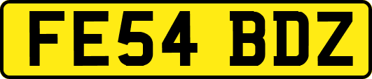 FE54BDZ