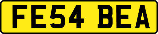 FE54BEA