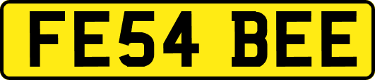 FE54BEE