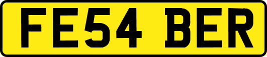 FE54BER