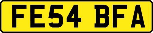 FE54BFA