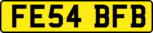 FE54BFB