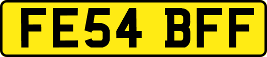 FE54BFF