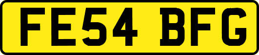 FE54BFG