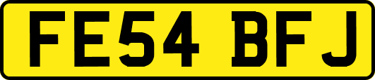 FE54BFJ