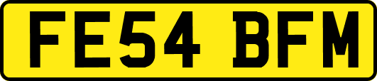 FE54BFM