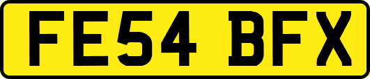FE54BFX