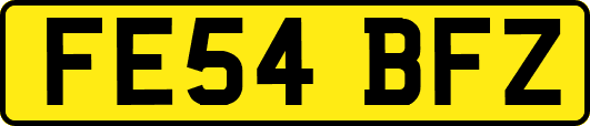 FE54BFZ