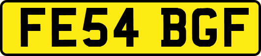 FE54BGF