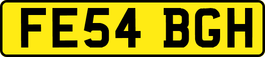 FE54BGH