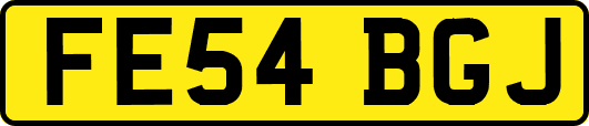FE54BGJ
