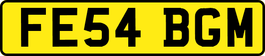 FE54BGM