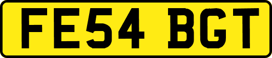 FE54BGT
