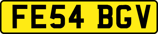 FE54BGV