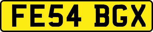 FE54BGX