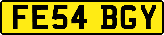 FE54BGY