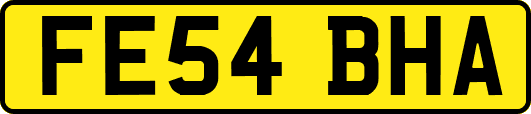 FE54BHA