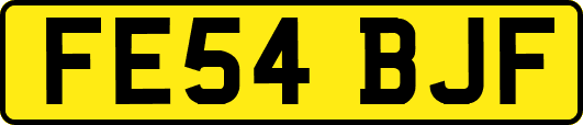 FE54BJF