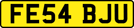 FE54BJU