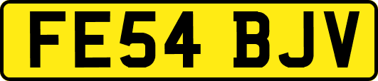 FE54BJV