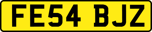 FE54BJZ