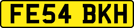 FE54BKH