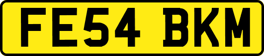 FE54BKM