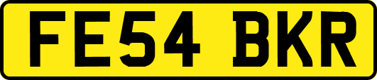 FE54BKR