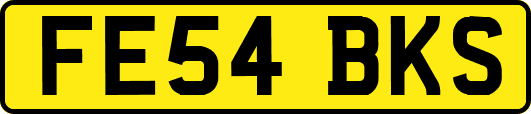 FE54BKS