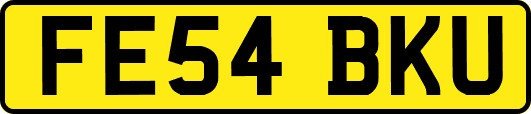 FE54BKU