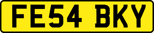 FE54BKY
