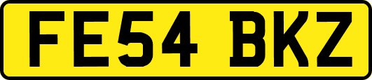 FE54BKZ