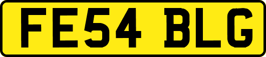 FE54BLG